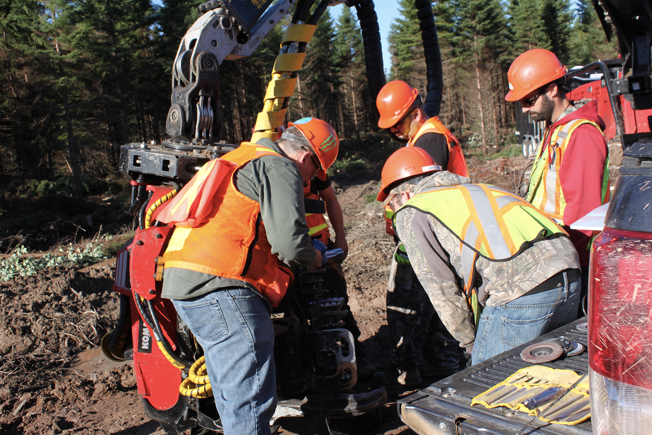 Forestry operation in the field