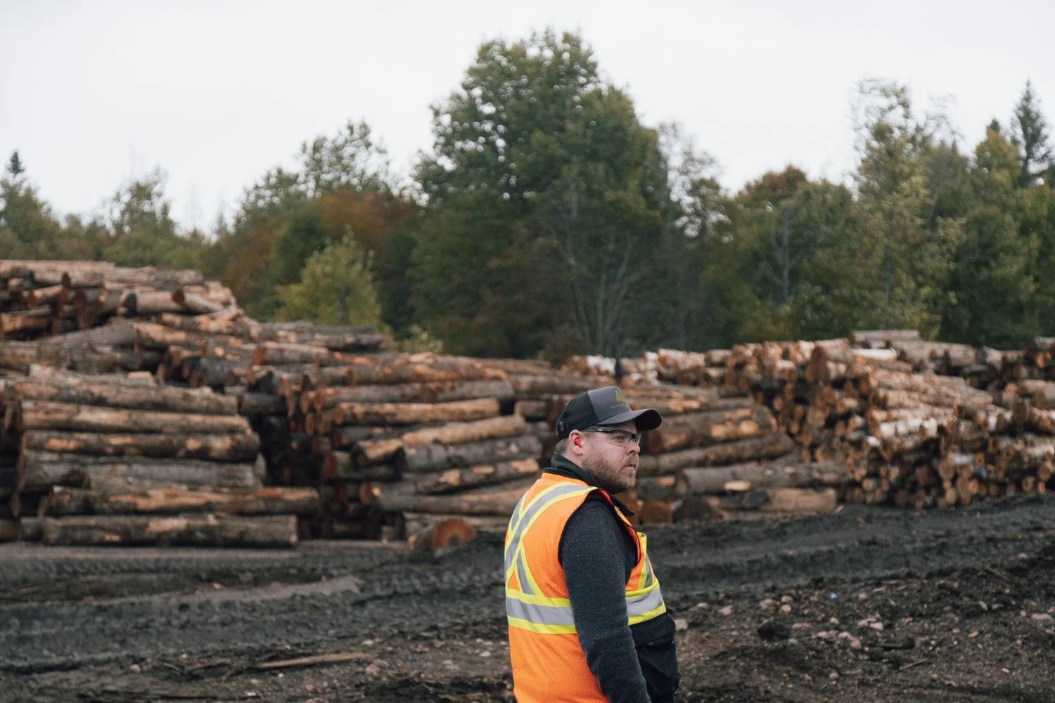 Timber Harvesting